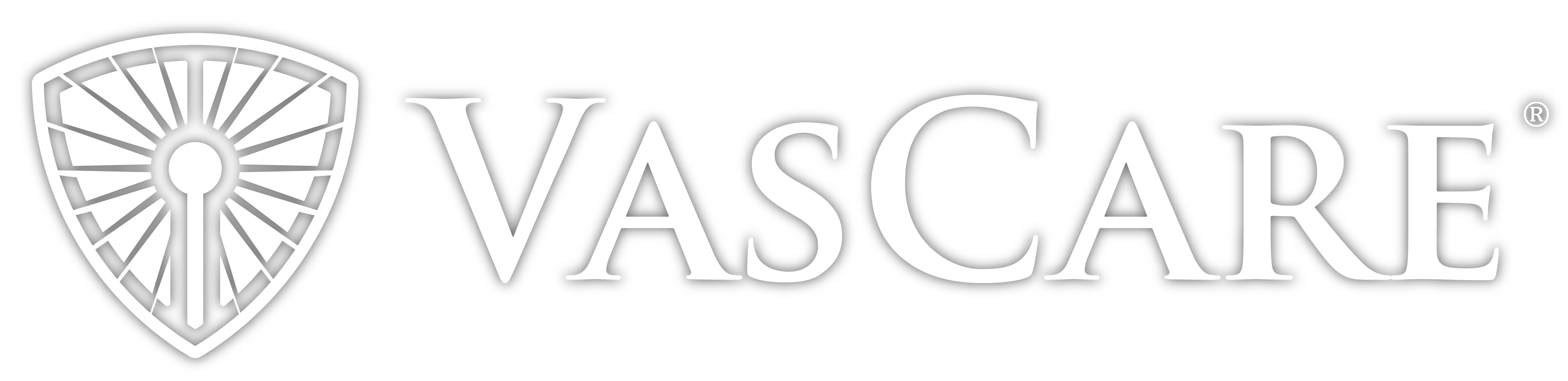 VasCare Logo